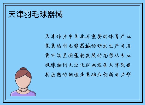 天津羽毛球器械